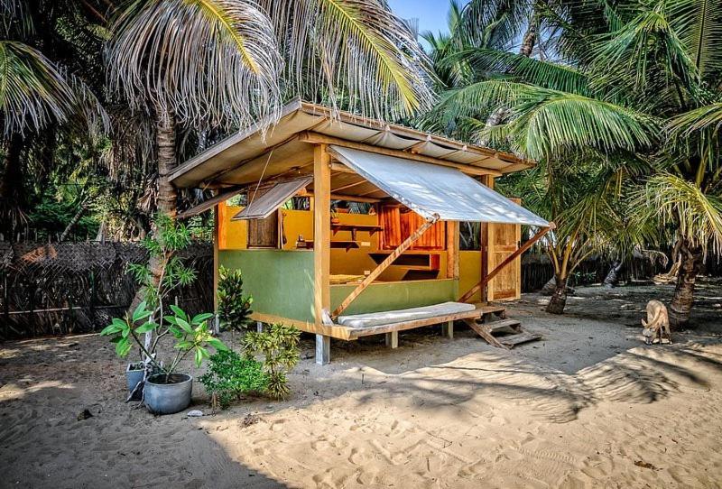 Bed and Breakfast Kite House Cafe Kalpitiya Exteriér fotografie