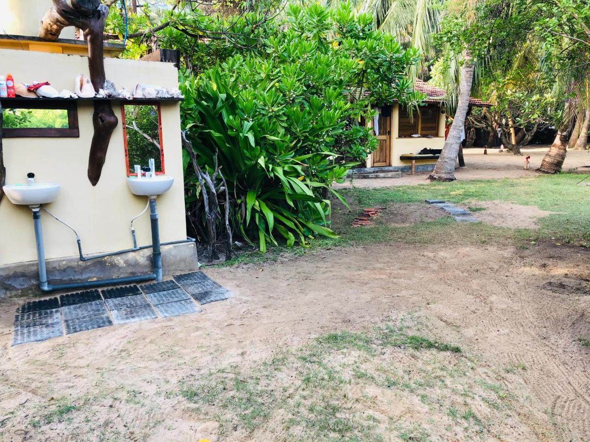 Bed and Breakfast Kite House Cafe Kalpitiya Exteriér fotografie