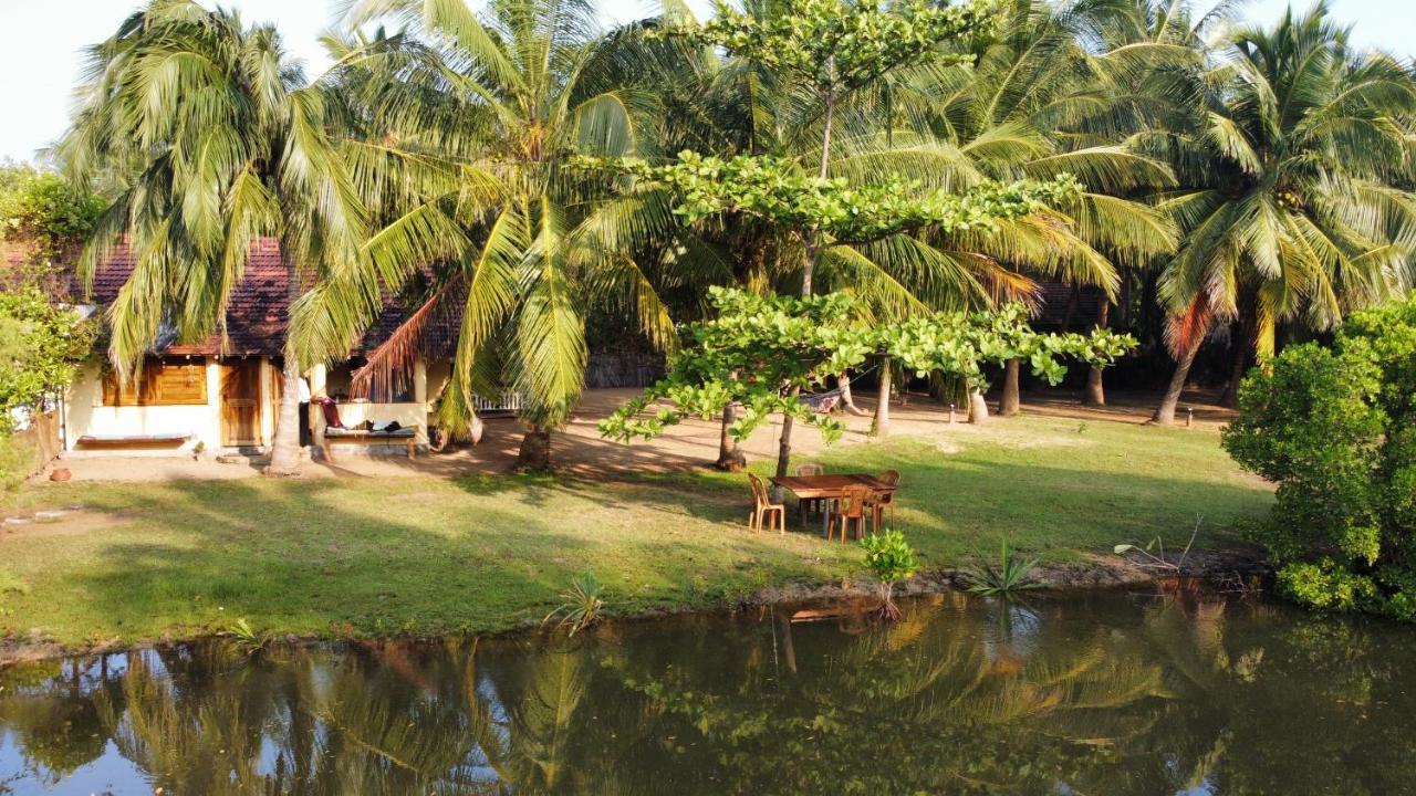 Bed and Breakfast Kite House Cafe Kalpitiya Exteriér fotografie