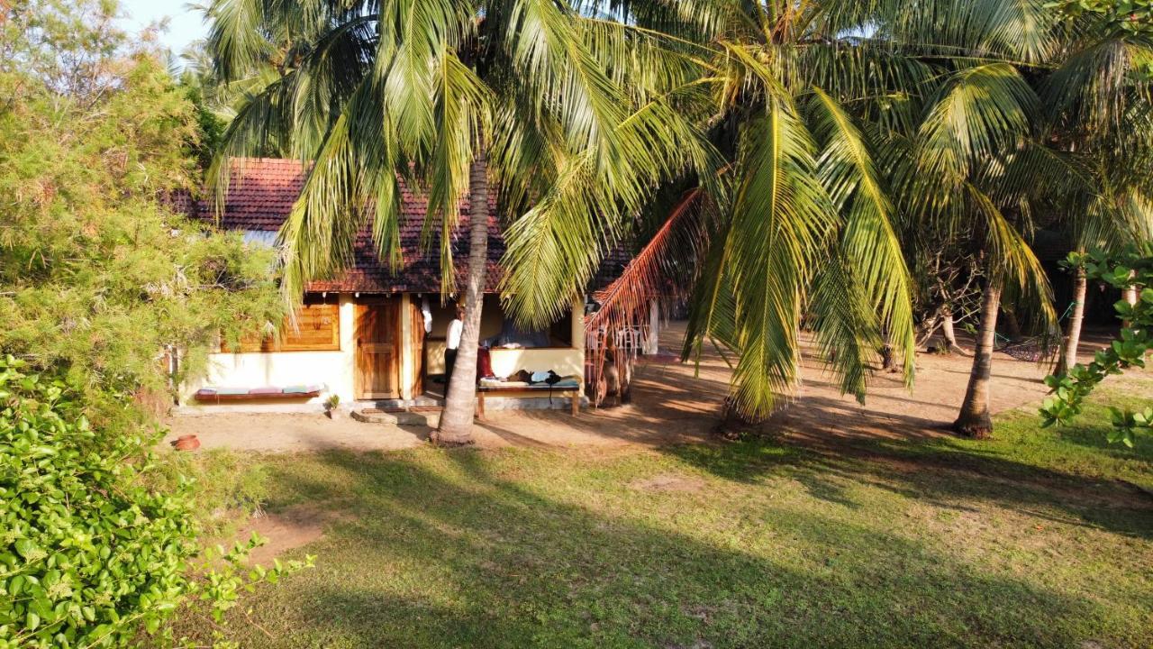 Bed and Breakfast Kite House Cafe Kalpitiya Exteriér fotografie