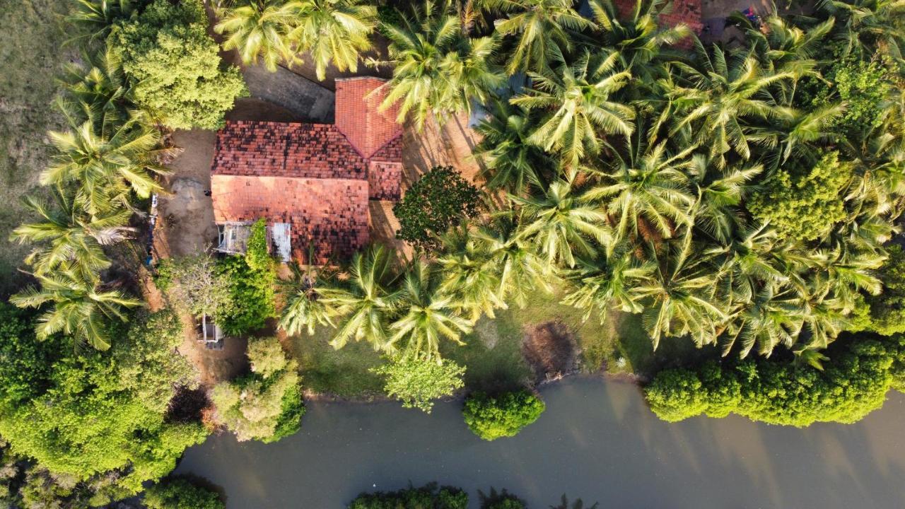 Bed and Breakfast Kite House Cafe Kalpitiya Exteriér fotografie