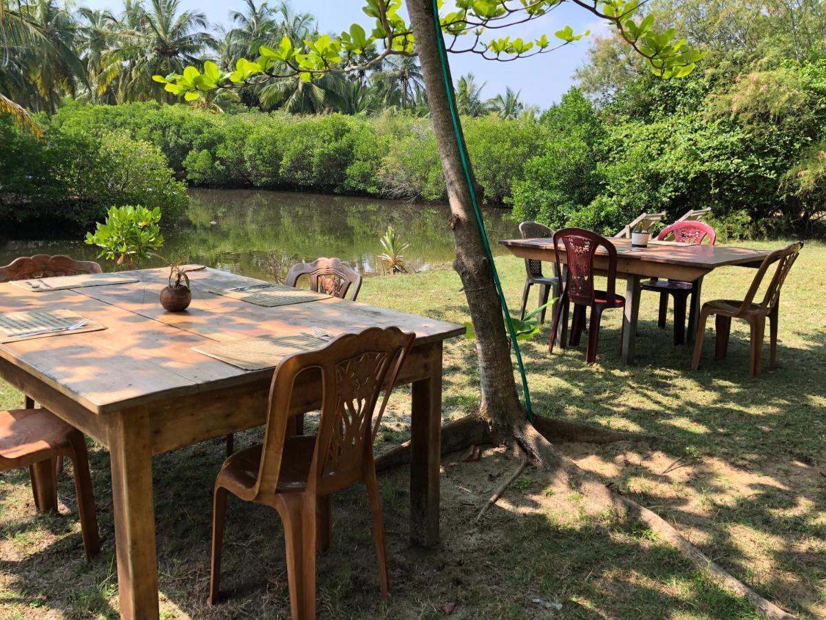 Bed and Breakfast Kite House Cafe Kalpitiya Exteriér fotografie