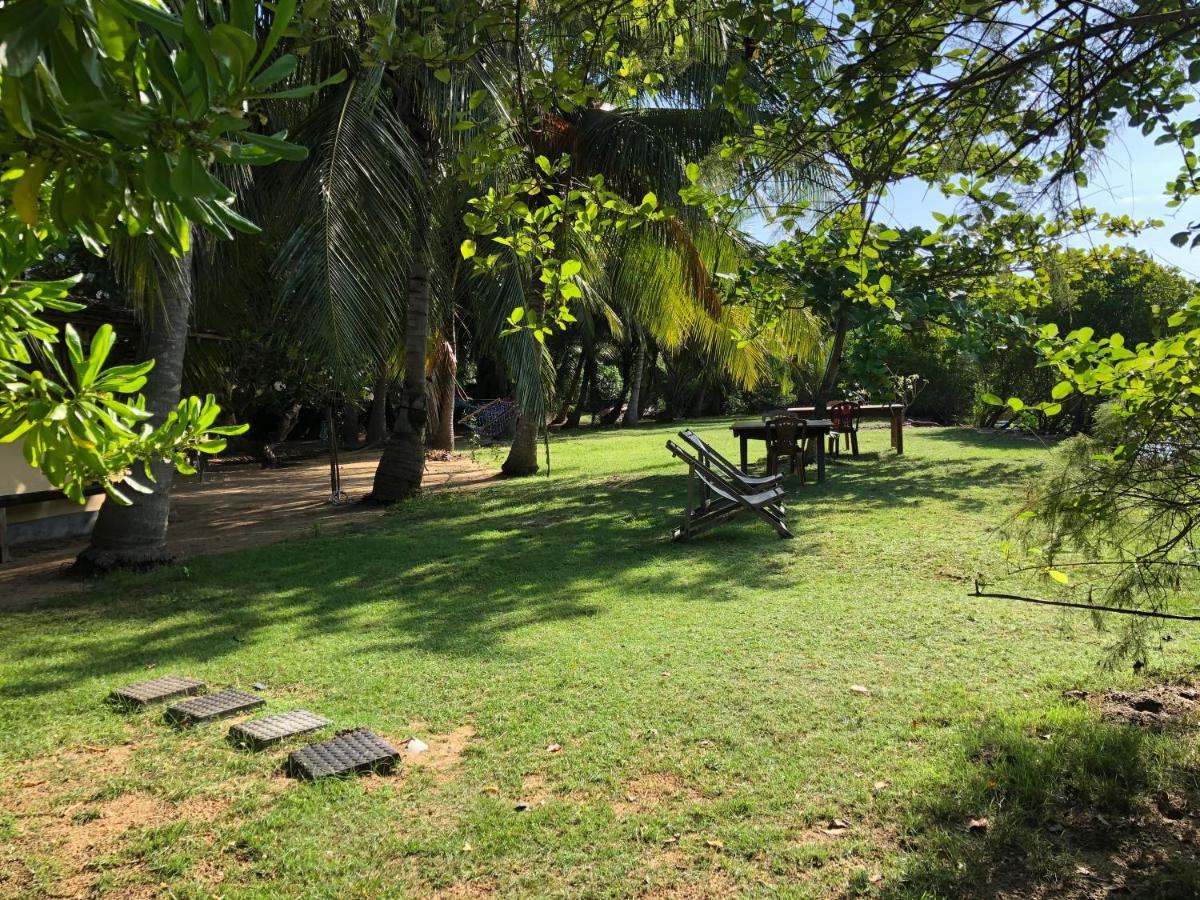 Bed and Breakfast Kite House Cafe Kalpitiya Exteriér fotografie